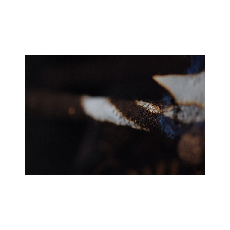 (0247)