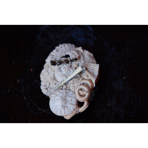 (0242 / brcbl5)