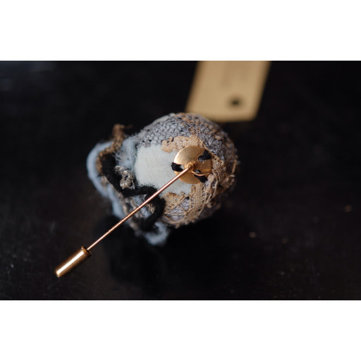 (0234 / Oioeuf-b1)