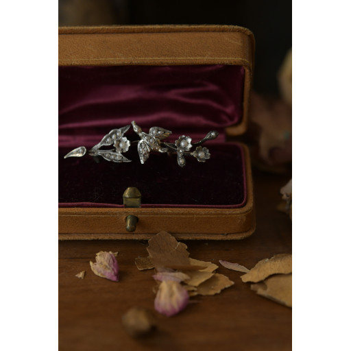 (broche-oisperlesboi)