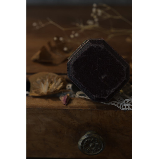 (bague-georgiperrubi)