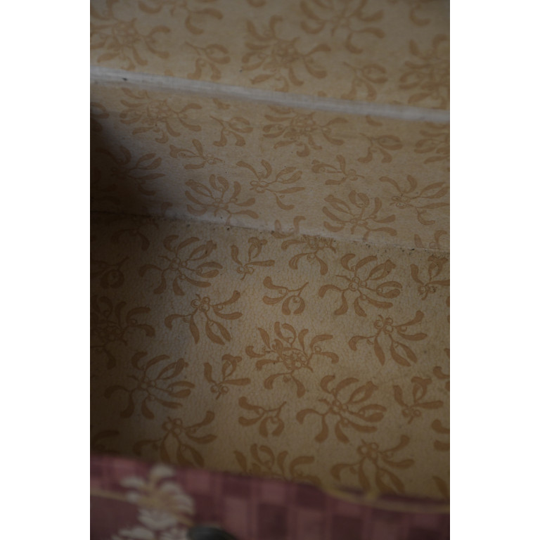 (cartonetage-rose)