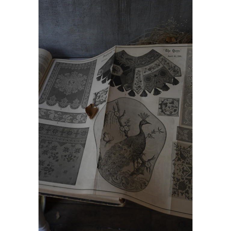 (livre-angladyfashion)