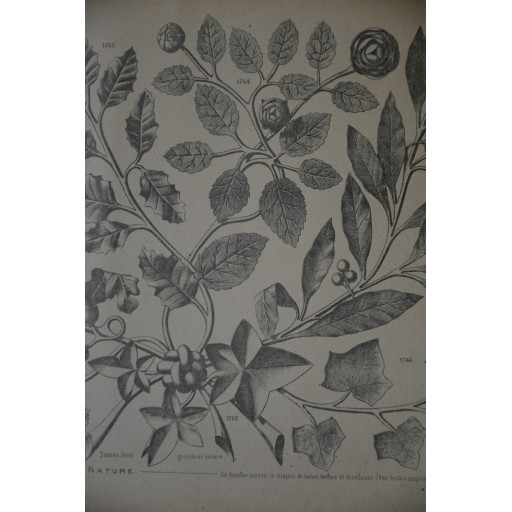 (catalogue-motifmeta)