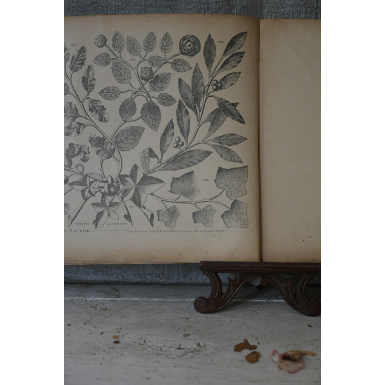 (catalogue-motifmeta)