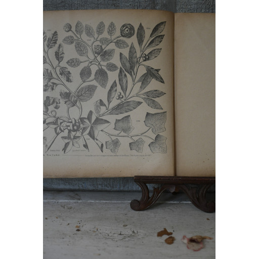 (catalogue-motifmeta)