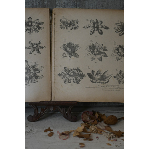 (catalogue-motifmeta)