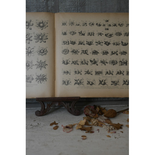 (catalogue-motifmeta)