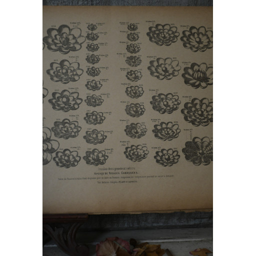 (catalogue-motifmeta)