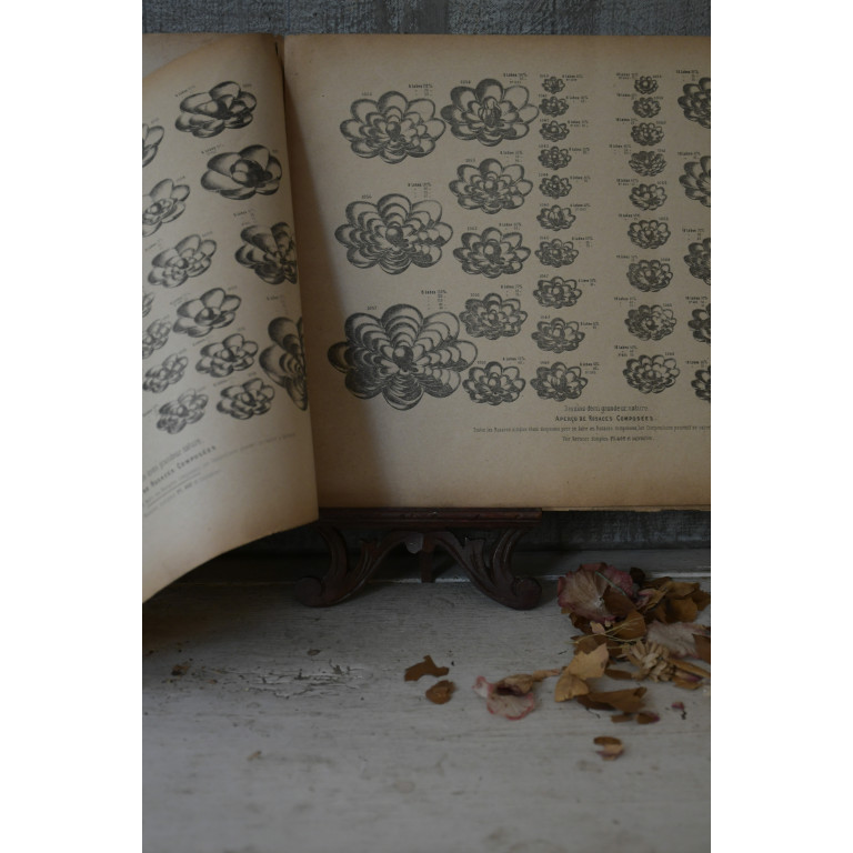 (catalogue-motifmeta)