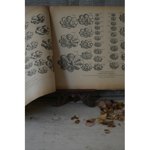 (catalogue-motifmeta)