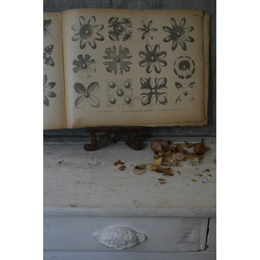 (catalogue-motifmeta)