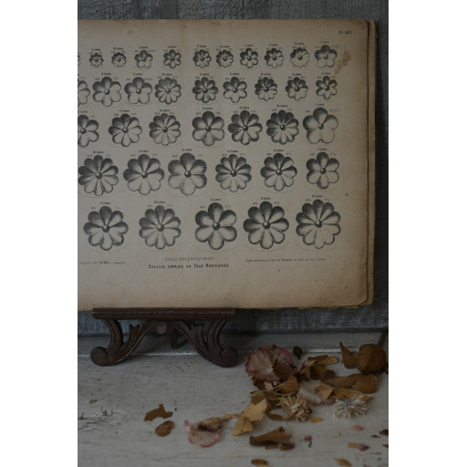 (catalogue-motifmeta)
