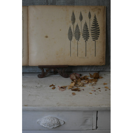 (catalogue-motifmeta)