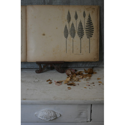 (catalogue-motifmeta)