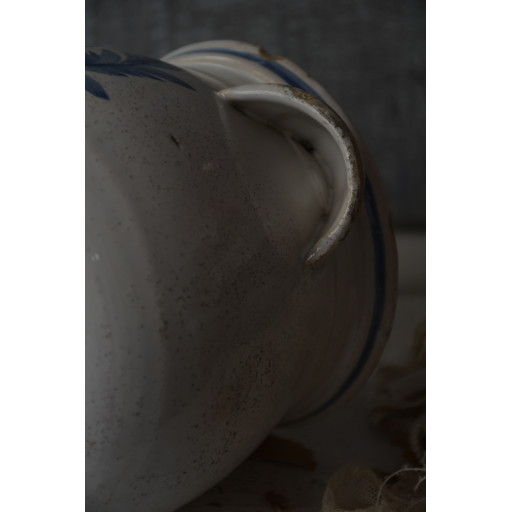 (pot-raisinbleu)