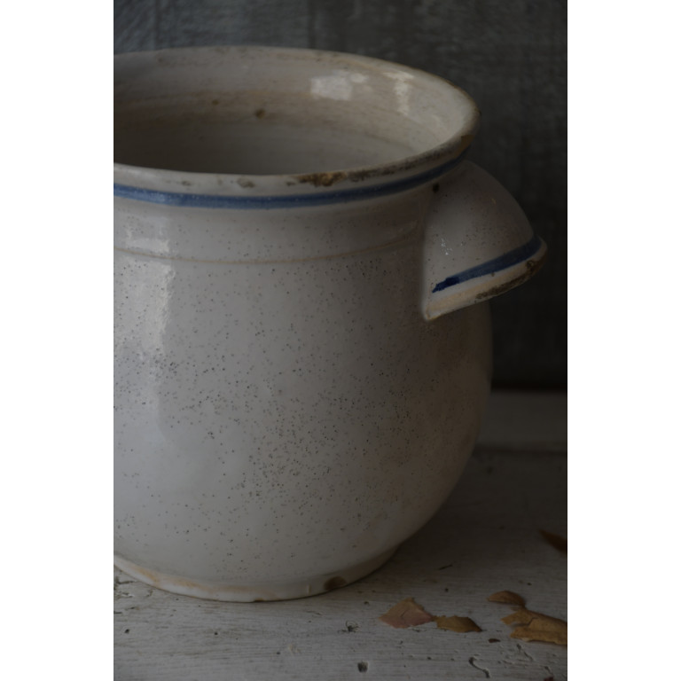(pot-raisinbleu)