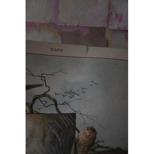 (livre-ancienfantai)