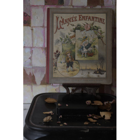 (livre-ancienfantai)