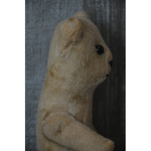 (nounours-blabizami)