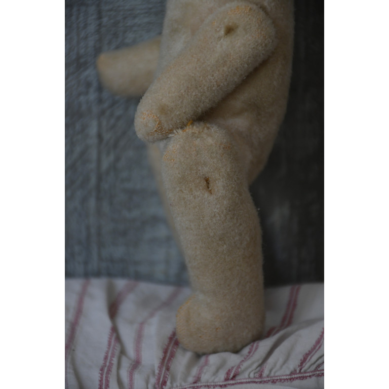 (nounours-blabizami)