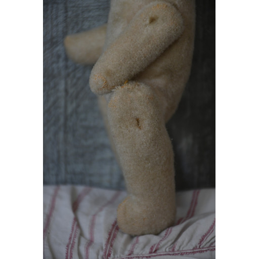(nounours-blabizami)