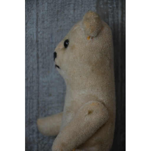 (nounours-blabizami)