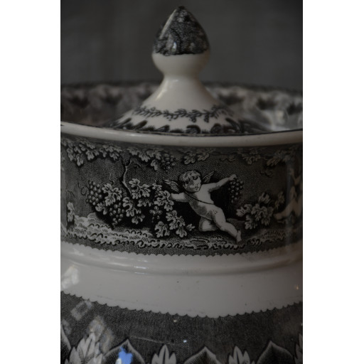(potcafth-grisaiang)