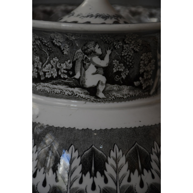 (potcafth-grisaiang)