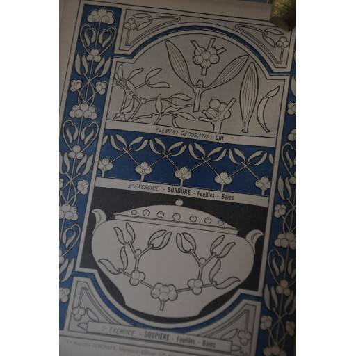 (livre-dessiplafleu)