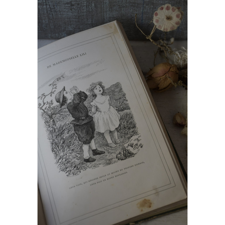 (livre-mllelili19e)