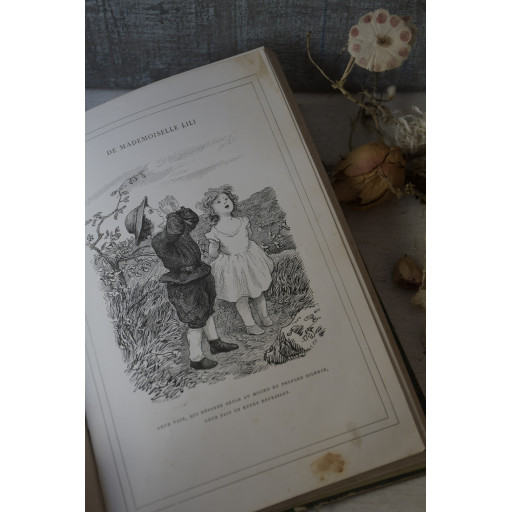 (livre-mllelili19e)
