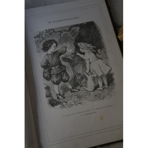 (livre-mllelili19e)