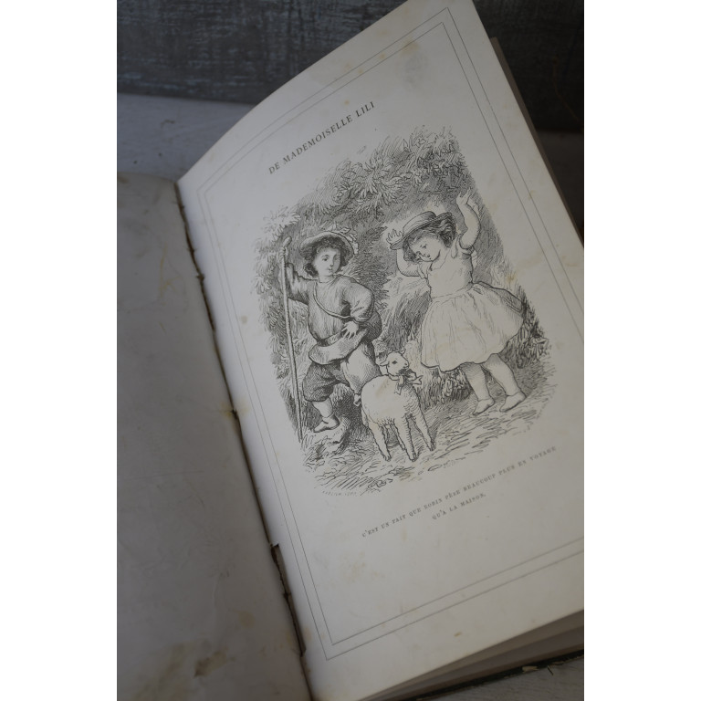 (livre-mllelili19e)