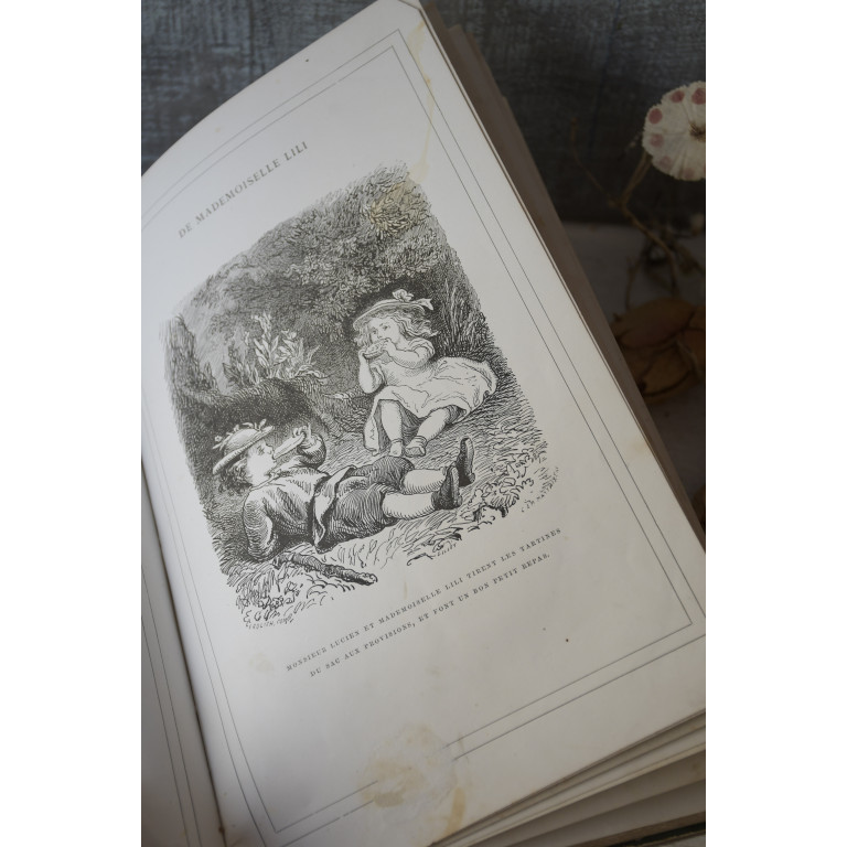 (livre-mllelili19e)