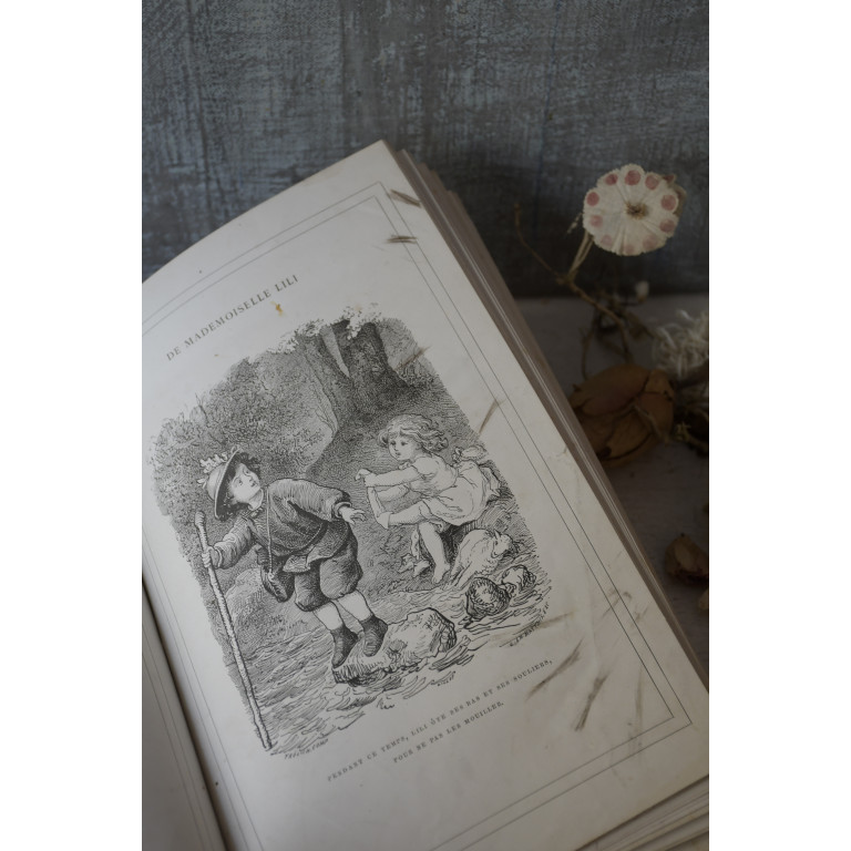 (livre-mllelili19e)