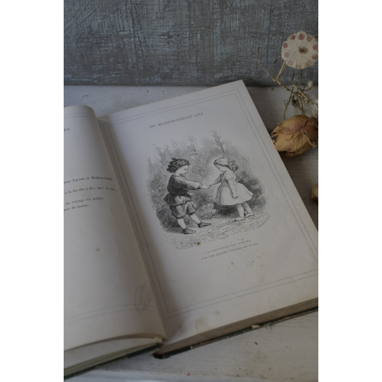(livre-mllelili19e)