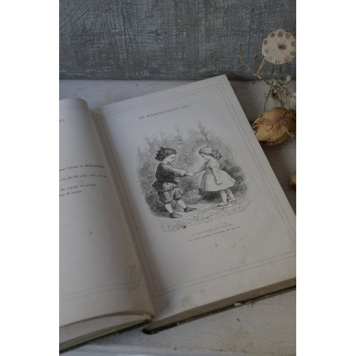 (livre-mllelili19e)