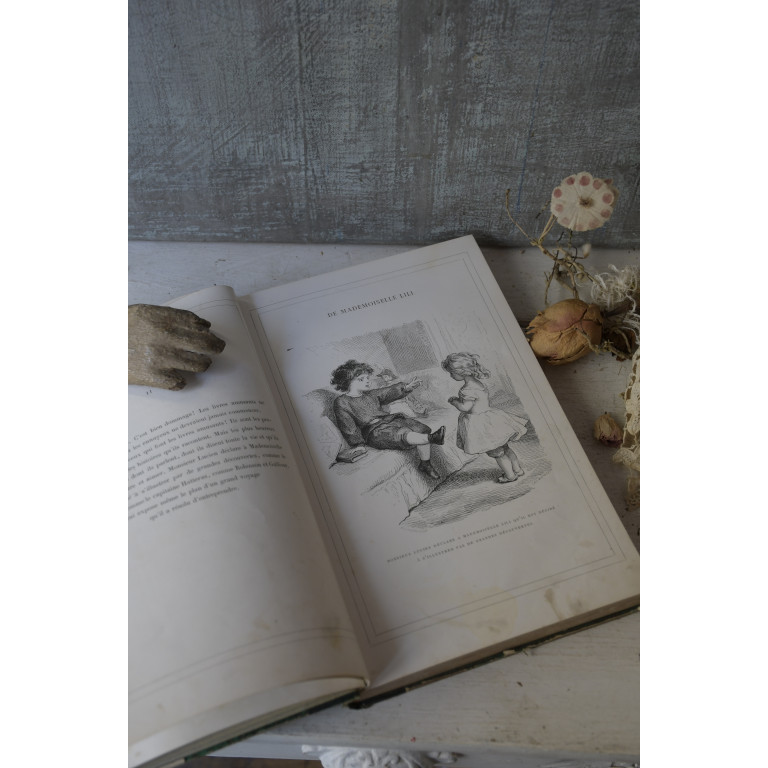 (livre-mllelili19e)