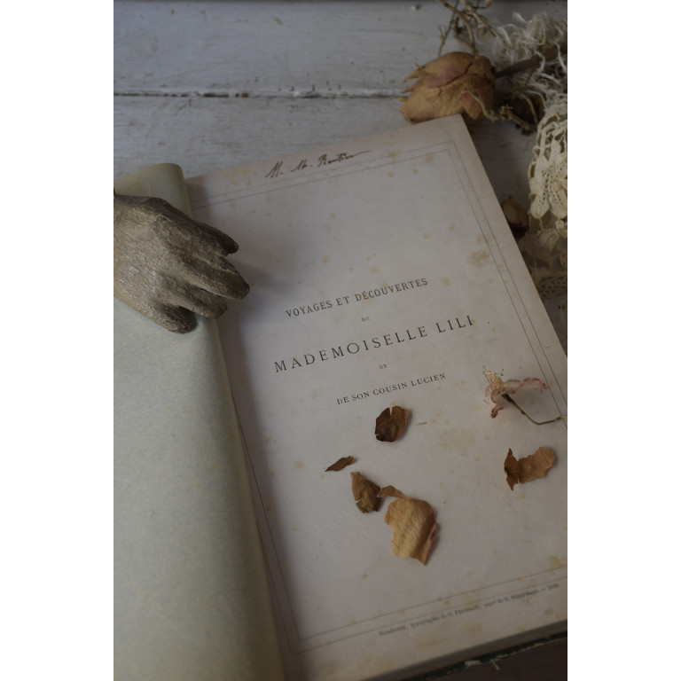 (livre-mllelili19e)
