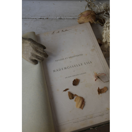 (livre-mllelili19e)