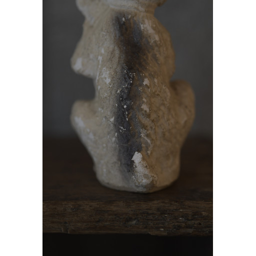 (biscui-chienobje)