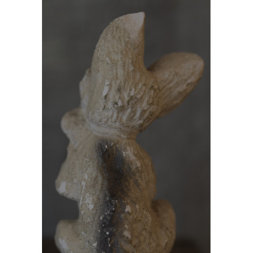 (biscui-chienobje)