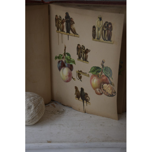 (album-chromoset)