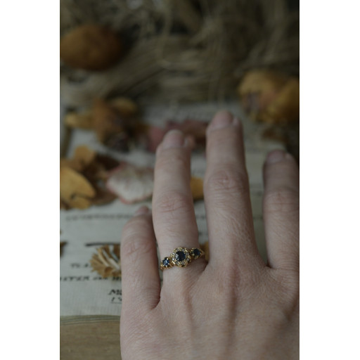 (bague-naposaphiorjau)
