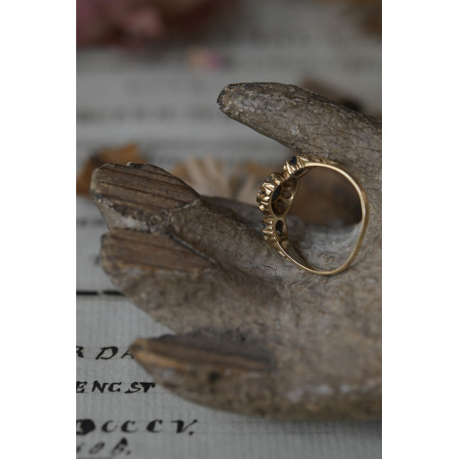 (bague-naposaphiorjau)